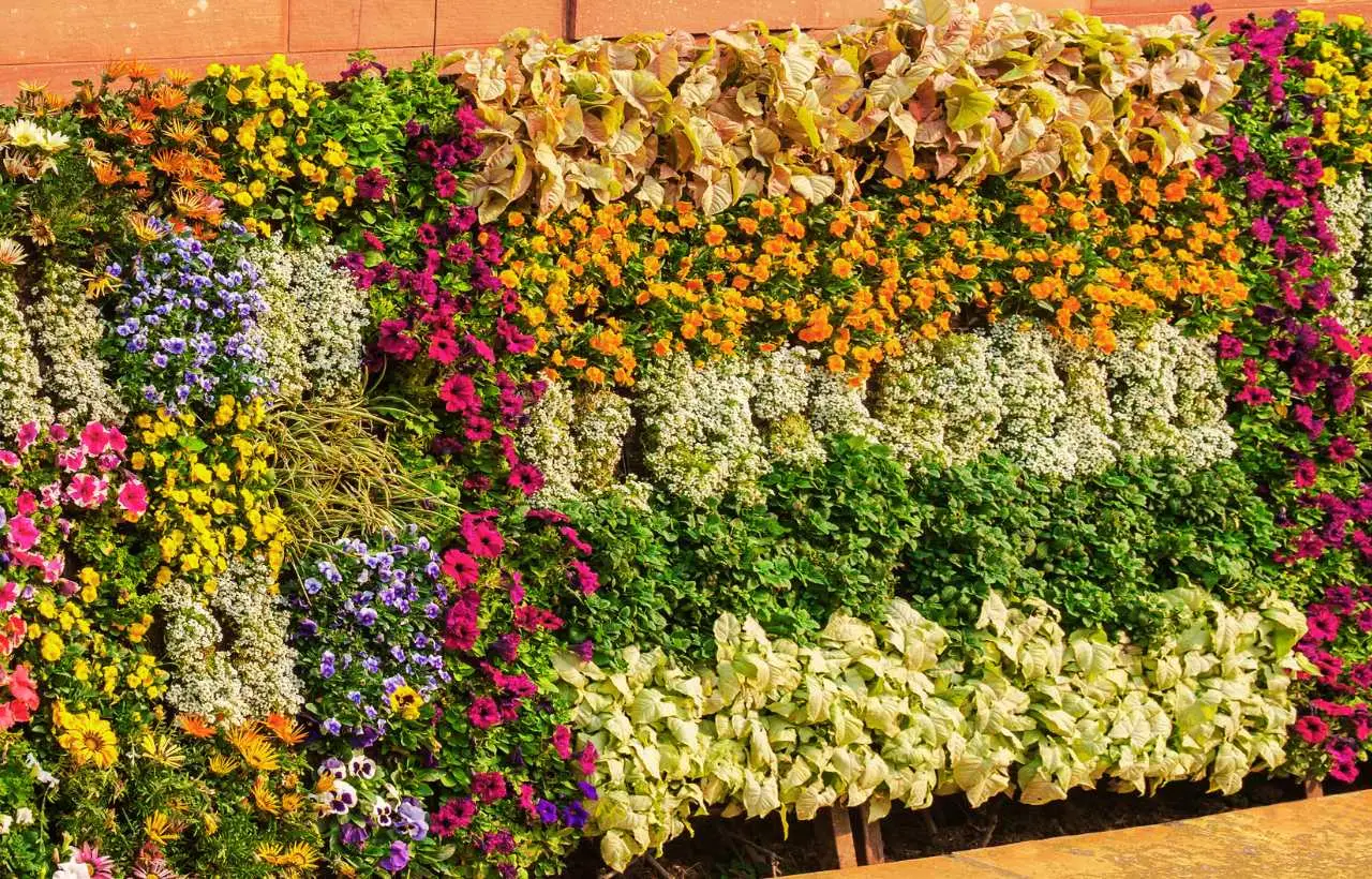 ¿Estás pensando en poner un jardín vertical? Descubre sus ventajas y el gran problema oculto