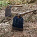 El uso sorprendente de la horqueta en la agricultura que casi nadie recuerda y que es muy útil